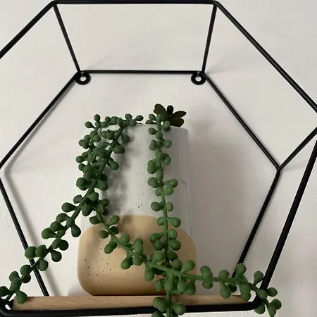 Bellisima Appartement